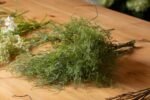 Asparagus Fern Bunch 2 - The Rustic Home