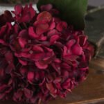 Autumn Ruby Hydrangea 2 - The Rustic Home