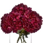 Autumn Ruby Hydrangea 3 - The Rustic Home