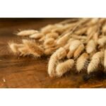 Bouquet Of Tall Bunny Tails 3 - The Rustic Home