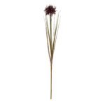 Burgundy Aster Spider Chrysanthemum Stem 3 - The Rustic Home
