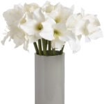 Classic White Amaryllis Flower 2 - The Rustic Home
