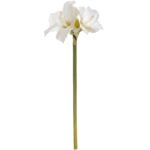 Classic White Amaryllis Flower 3 - The Rustic Home