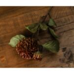 Wholesale Artificial Flowers & Greenery|Seasonal|Single Stem Flowers|All Artificial Flowers|Autumn Decor|Autumn Stems|