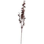 Deep Purple Dancing Orchid Stem 2 scaled - The Rustic Home