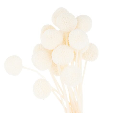 Wholesale Artificial Flowers & Greenery|Single Stem Flowers|All Artificial Flowers|Dried Flowers|