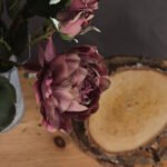 Dusty Pink Spray Rose Peony 2 - The Rustic Home