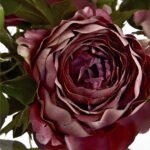 Dusty Pink Spray Rose Peony 4 - The Rustic Home