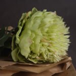 Green Peony 2 - The Rustic Home