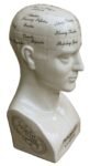 Large Ceramic Phrenology Head 42cm
