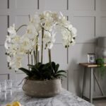 Large White Orchid In Stone Pot 3 - The Rustic Home