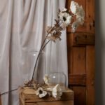 Large White Poppy Stem 2 - The Rustic Home