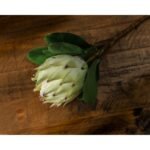 Large White Protea 2 - The Rustic Home