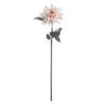 Lush Pink Dahlia 3 - The Rustic Home
