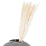Mini White Pampas Grass Bunch Of 15 2 - The Rustic Home