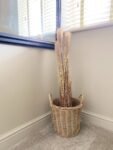 Natural Dried Pampas 3 - The Rustic Home