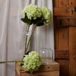 Oversized Green Hydrangea 2 - The Rustic Home