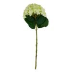 Oversized Green Hydrangea 3 - The Rustic Home