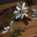 Passion Flower Spray 2 - The Rustic Home