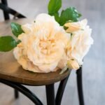 Peachy Cream Short Stem Rose Bouquet 2 - The Rustic Home