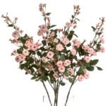 Pink Wild Meadow Rose 3 - The Rustic Home
