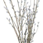 Pussy Willow Branch 4 - The Rustic Home