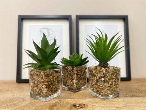 Set Of Three Faux Succulents In Glass Pots