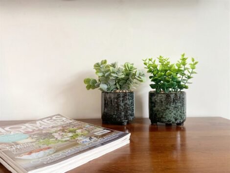 Small Succulents & Faux Bonsai