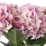 Shabby Pink Hydrangea Bouquet 2 - The Rustic Home