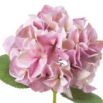 Shabby Pink Single Hydrangea 2 - The Rustic Home