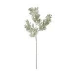 Silver Wattle Leaf 3 - The Rustic Home