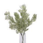 Silver Wattle Leaf 4 - The Rustic Home
