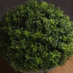 Small Hebe Globe Pot 2 - The Rustic Home