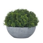 Small Hebe Globe Pot 3 - The Rustic Home