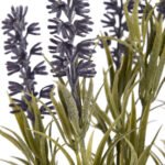 Small Lavender Spray 4 - The Rustic Home