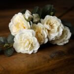 Soft White Cottage Rose Stem 2 - The Rustic Home