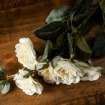 Soft White Cottage Rose Stem 3 - The Rustic Home