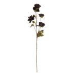 Tall Black Poppy Stem 3 - The Rustic Home