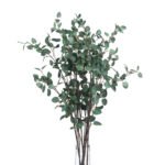 Tall Eucalyptus Stem 3 - The Rustic Home