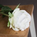 Traditional White Rose 2 - The Rustic Home