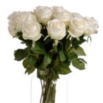 Traditional White Rose 3 - The Rustic Home