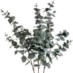 Variegated Eucalyptus 3 - The Rustic Home