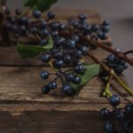 Viburnum Berry 2 - The Rustic Home