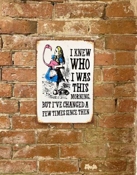 Vintage Metal Sign - Alice In Wonderland - I Knew Who I Was