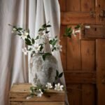 White Florida Clematis 2 - The Rustic Home
