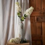 White Spear Hydrangea 2 - The Rustic Home