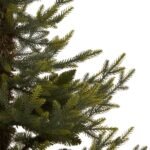 Potted Natural Pine Tree 2 - The Rustic Home