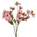 The Natural Garden Collection Pink Varigated Hellibore 2 - The Rustic Home