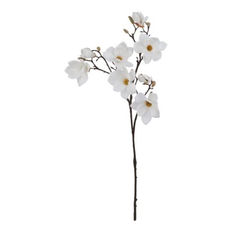 The Natural Garden Collection White Magnolia Stem