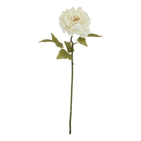 The Natural Garden Collection White Peony
